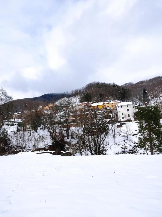 Casa Dora Home Retreat Montepiano Εξωτερικό φωτογραφία
